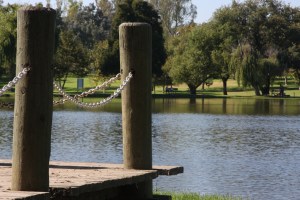 Nature 004