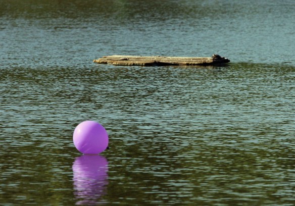 Purple Balloon @ Brea State Park