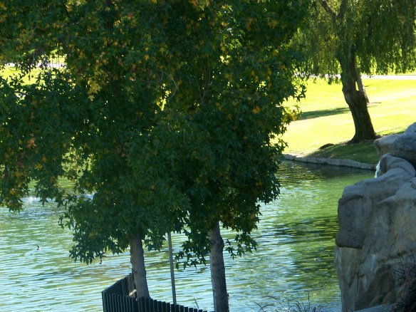 Golden Springs Park, Chino Hills, CA.
