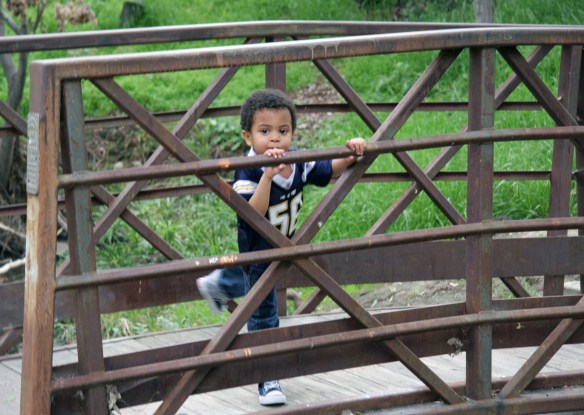 Kaiden 043ps