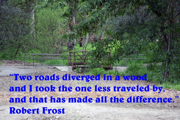 Robert Frost Quote