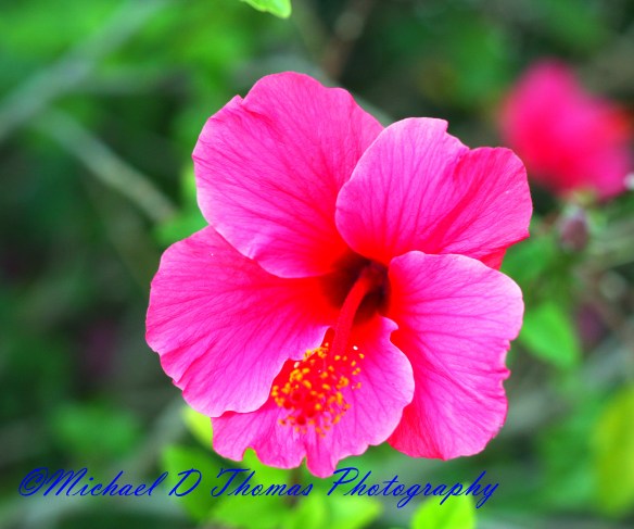 Enjoy your Day!