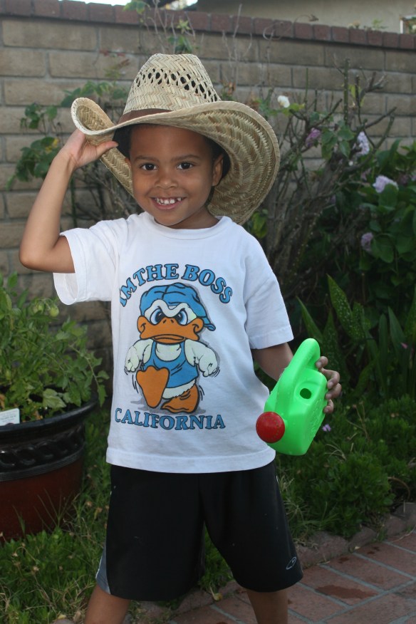 GrandKidd tending to his Grandmother's tomato plant