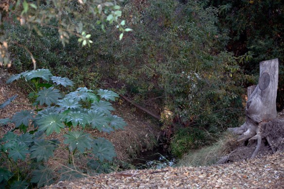 Trail Park 028ps