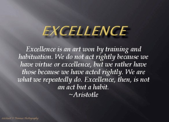 2014-05-Excsllence ps1a