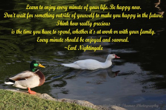 Enjoy Every Minute!
