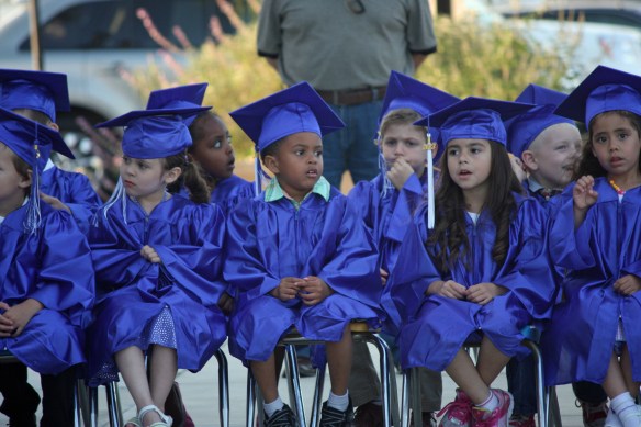 Kaedens Grad 081ps